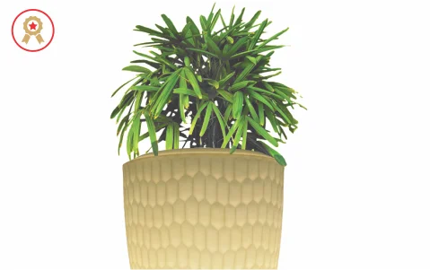 Elegant Range of Planters for Homes & Hospitality.