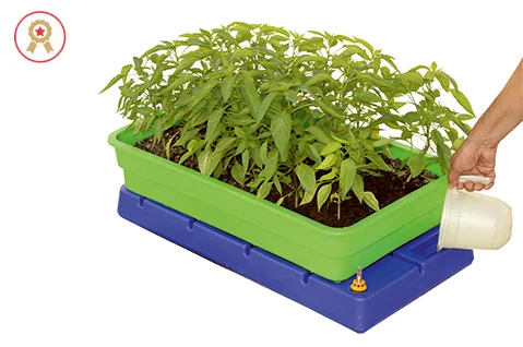 ‘GroEzee’ Kitchen Garden System
